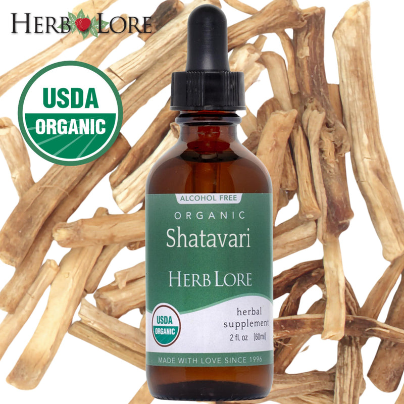 [Australia] - Herb Lore Organic Shatavari Root Extract Tincture - Liquid Shatavari Drops (Asparagus Racemosus) for Lactation and Wellness Support - Alcohol Free (2 fl oz) 2 Fl Oz (Pack of 1) 