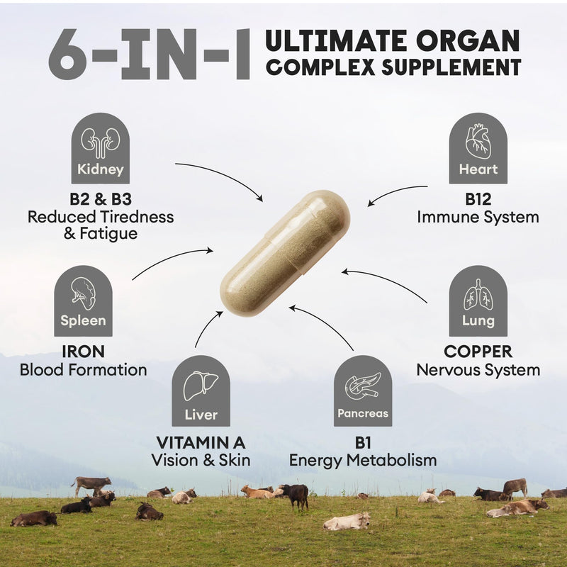Nutriest 6-in-1 Ultimate Organ Complex (240 Capsules) – Halal Beef Organ Supplement | Organic Grass-Fed Beef from Europe | Energy, Immune System & Vitality