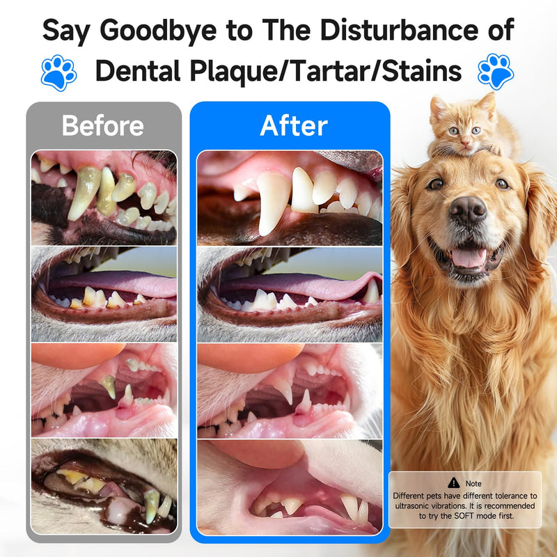 [Australia] - Ultrasonic Dog Teeth Cleaning Kit – Electric Pet Plaque & Tartar Remover Tool with 5 Adjustable Modes & LED Light, Safe Low-Noise Tooth Cleaner for Dogs & Cats, at-Home Dental Care 
