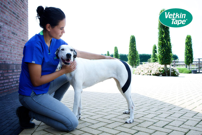 [Australia] - VetkinTape® Veterinary Kinesiology Tape Black | kinesiology Tape for Horses & Dogs | Equine & Canine Kinesiotape | Latex Free and TÜV Quality Mark Certified Ktape | 2.4 inch | Pack of 1 Roll 