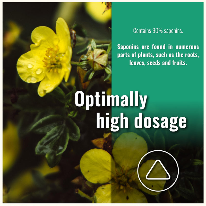 Tribulus Terrestris Capsules – 200 Capsules – Standardised to 90% Saponins – Vegan – No Additives