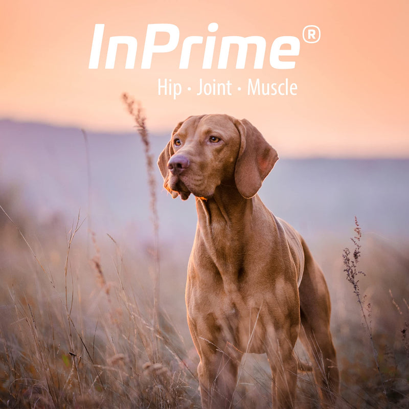 InPrime Canine - Natural Joint Support for Dogs - Helps Maintain Normal Joint Mobility & Function - Supports Hip and Joint for Dogs - Palatable Dog Joint Care - (60 Count) - PawsPlanet Australia