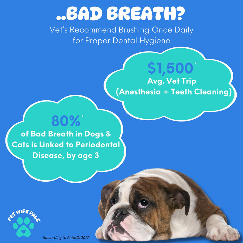 [Australia] - All-in-1 Dog Teeth Cleaning Wipes | Enzymatic Whitening + Micro Scrubbing Beads | No Mess, Pet Dental Wipes & Finger Tooth Brushing Kit | Plant-Based Dental Care for Cats & Dogs (60 Count) 