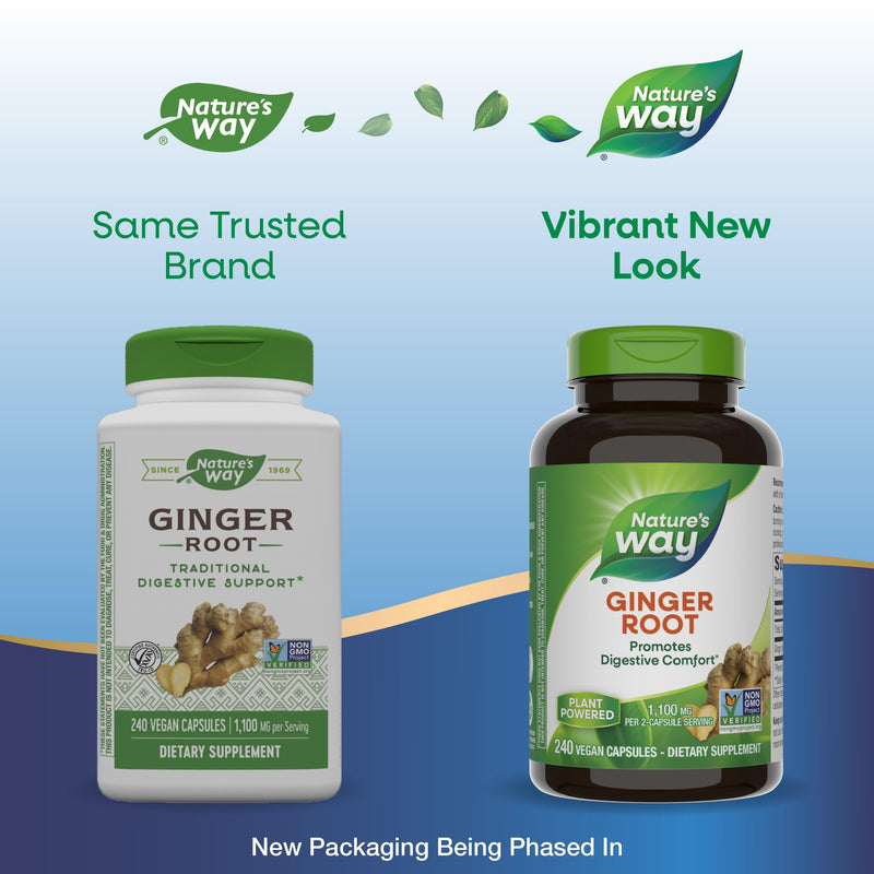 [Australia] - Nature's Way Ginger Root, Promotes Digestive Comfort*, 1,100 mg Per 2-capsule Serving, Non-GMO Project Verified, Vegan, 240 Capsules (Packaging May Vary) 240 Count (Pack of 1) Herbal Supplement 