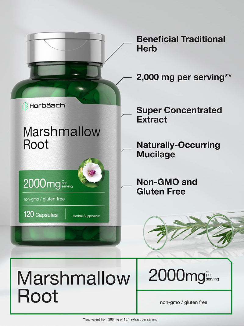 Horbäach Marshmallow Root Capsules | 2000mg | 120 Count | Non-GMO & Gluten Free | Traditional Herb Extract