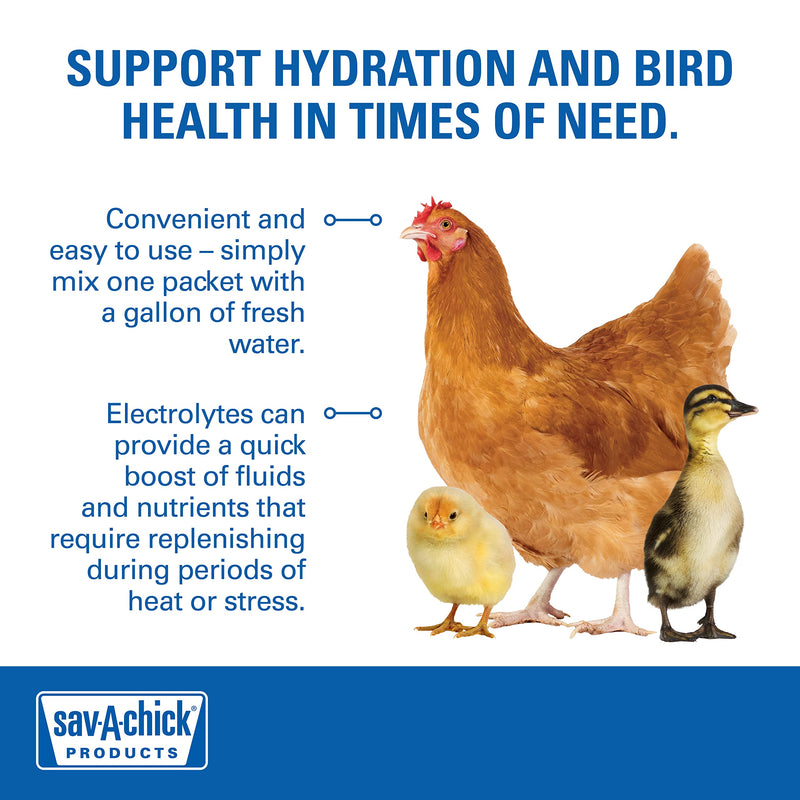 Sav-A-Chick Electrolyte & Vitamin Supplement (3 - 0.2 oz packets) - PawsPlanet Australia