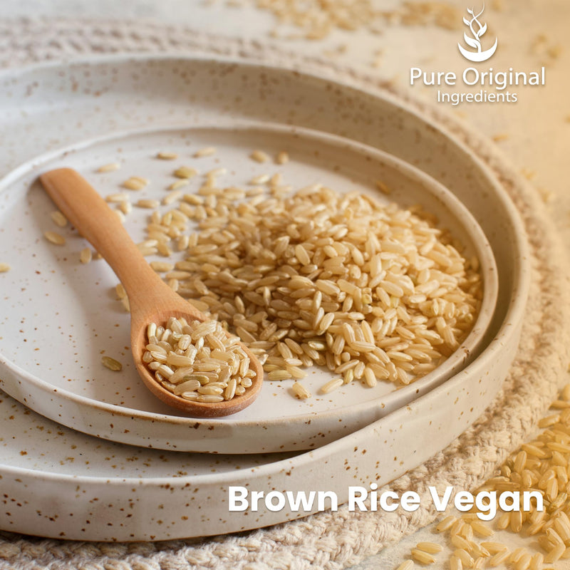 [Australia] - PURE ORIGINAL INGREDIENTS Brown Rice Vegan Protein Powder (1 lb) Sprouted Brown Rice, Gluten Free, Shakes & Smoothies 1 Pound 