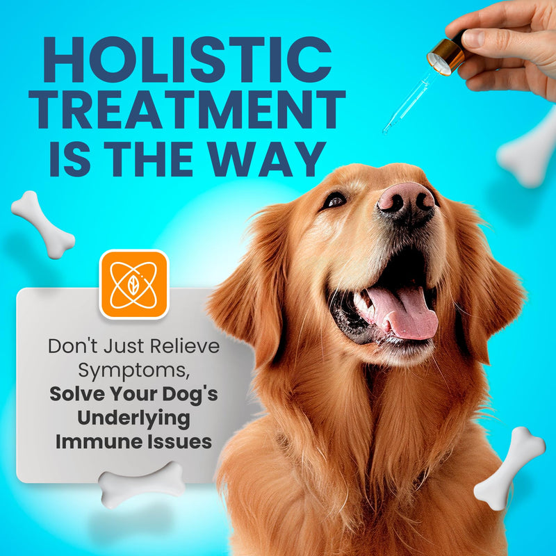 Natural Antibiotics for Dogs – Gentle, Effective Dog Antibiotic - Provides Dog Allergy Relief and Dog Itching Skin Relief - Premium Antibiotics for Dogs with Bacon Flavor - PawsPlanet Australia