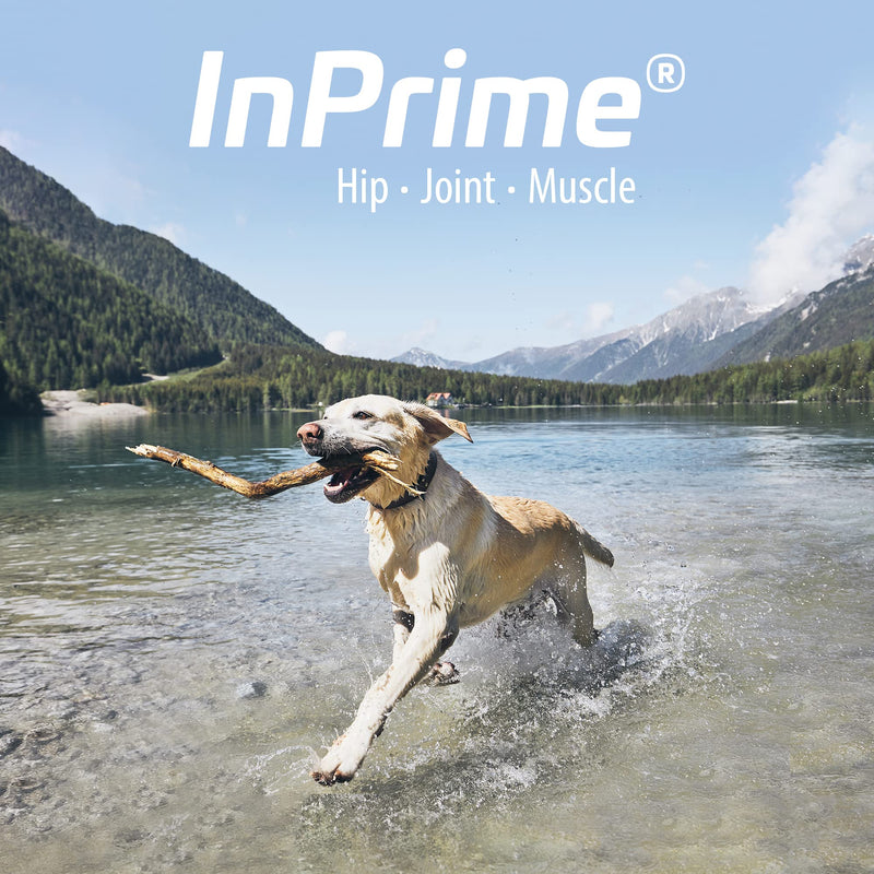 InPrime Canine - Natural Joint Support for Dogs - Helps Maintain Normal Joint Mobility & Function - Supports Hip and Joint for Dogs - Palatable Dog Joint Care - (60 Count) - PawsPlanet Australia