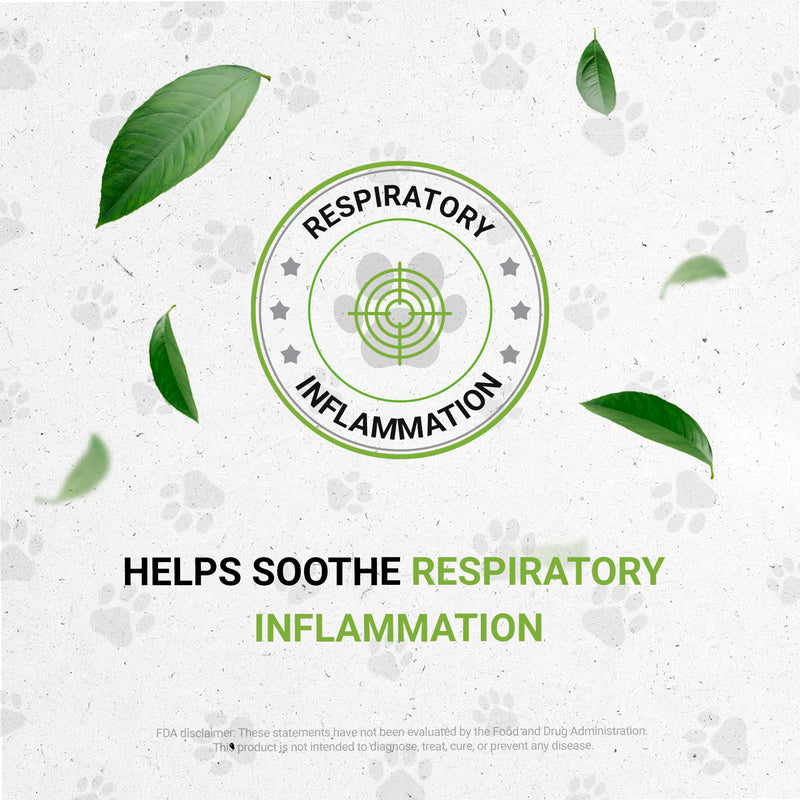 Birds Respiratory | Natural Herbal Dietary Pet Supplement for Birds | Healthy Respiratory System Support in Birds | Alcohol-Free Extract, Peppermint, Marshmallow, Calendula, Turmeric, Thyme 2 oz - PawsPlanet Australia