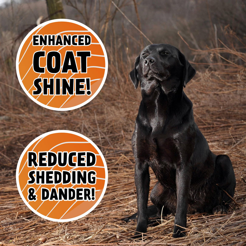 DogBone Wild Alaskan Fish Oil for Dogs 32 oz | Salmon Oil for Dogs | Dog Fish Oil | Omega 3 for Dogs | Dog Joint Supplement | Dogs Vitamins and Supplements | Salmon Oil for Dogs Skin and Coat - PawsPlanet Australia
