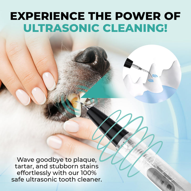BRIGHT BITE™ | Ultrasonic Plaque Remover for Teeth | Dog Toothbrush; Cat Toothbrush | Quiet Tartar Remover | Dog Accessories | Teeth Cleaning Tools| Doggie Dental Scaler | Dental Tools | USB-C