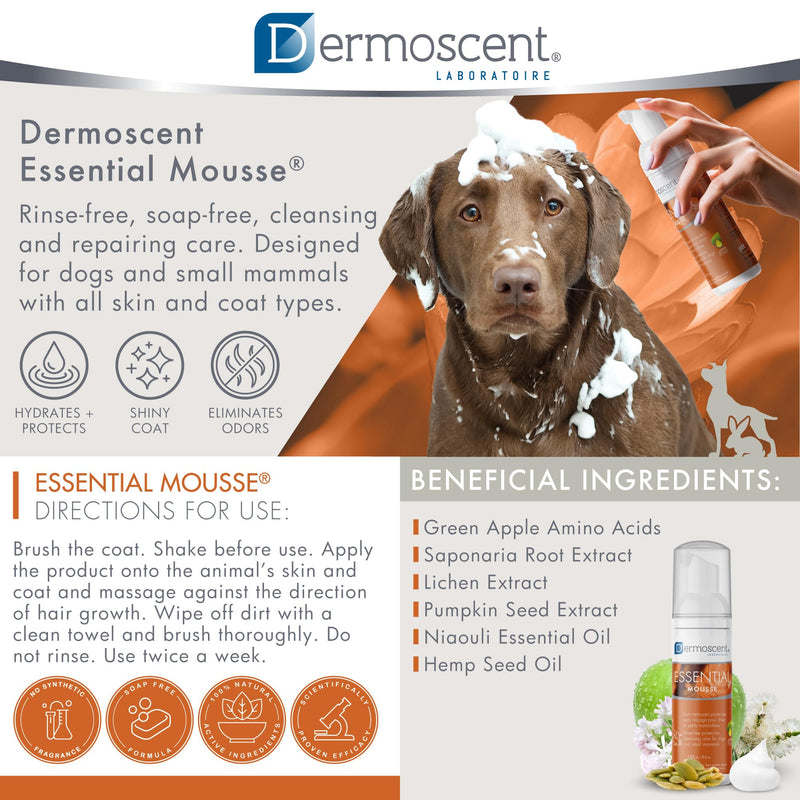 Dermoscent Essential Mousse - Dry Shampoo for Dogs & Small Mammals - Rinse Free Foam to Cleanse Skin & Coat - Odour Control for Smelly Pets - Soap Free - 150ml - PawsPlanet Australia