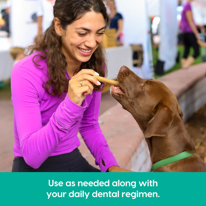 ARK NATURALS Breath Bursts Brushless Toothpaste, Dog Dental Sticks for Large Breeds, Unique Texture Helps Clean Teeth & Freshen Breath, Peppermint, 6 oz, 1 Pack 6 Ounce (Pack of 1) - PawsPlanet Australia