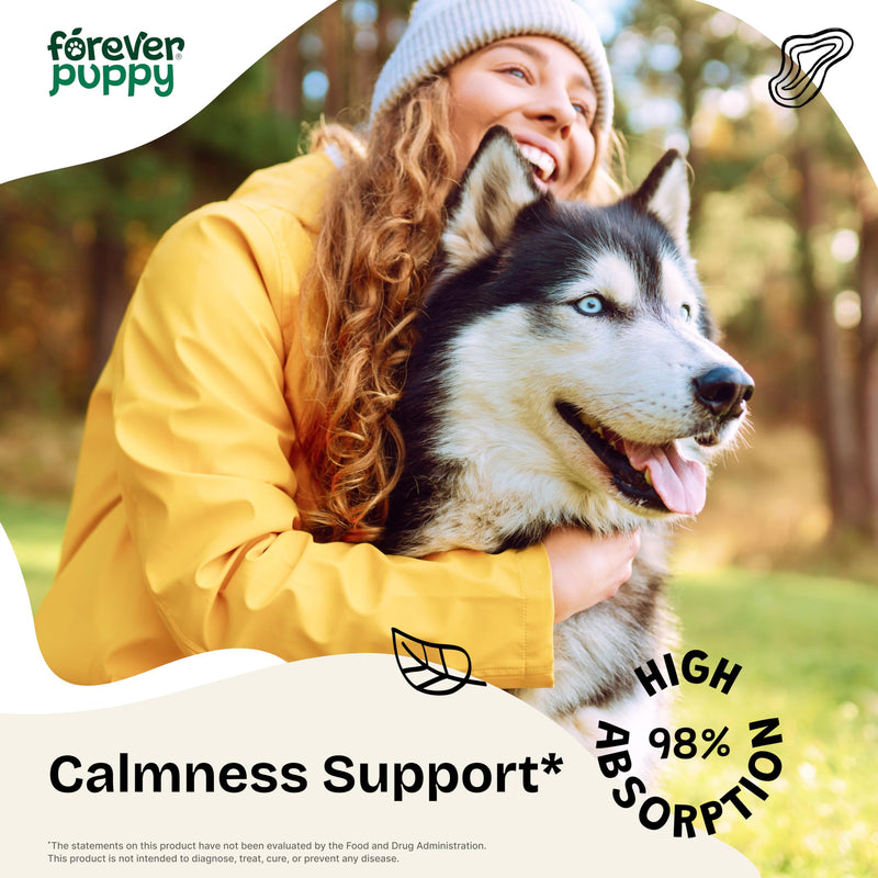 Ashwagandha Drops for Dogs - Calming Care with Ashwagandha Root Tincture - Liquid Alternative to Calming Chews for Dogs' Composure & Relaxation - Canine Vitamins and Supplements - 4 oz 4 fl oz - PawsPlanet Australia