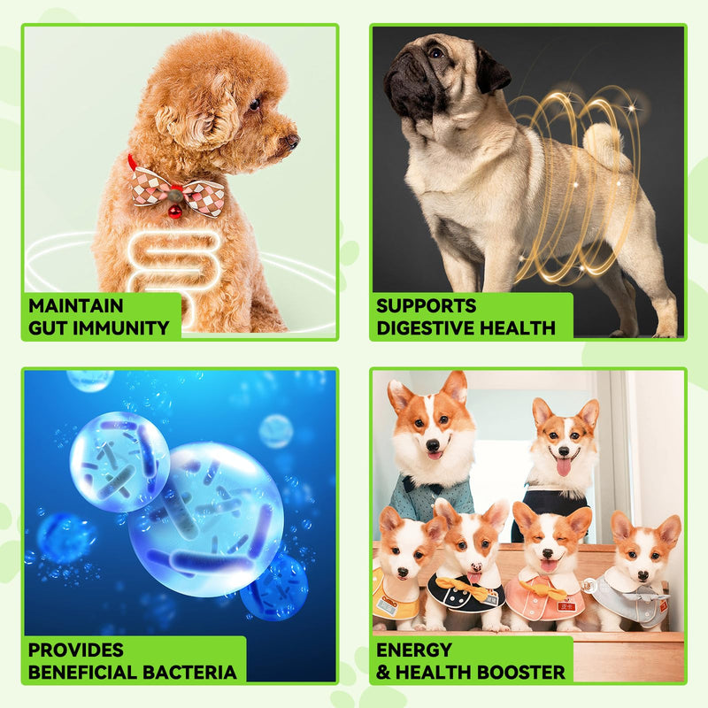 Probiotics for Dogs，3-in-1 Dog Probiotics，Dog Probiotics for Digestive Support, Dog Probiotic Supplements，Pet Probiotics for Dogs， Liquid Probiotics for Dogs | 2 Oz - PawsPlanet Australia