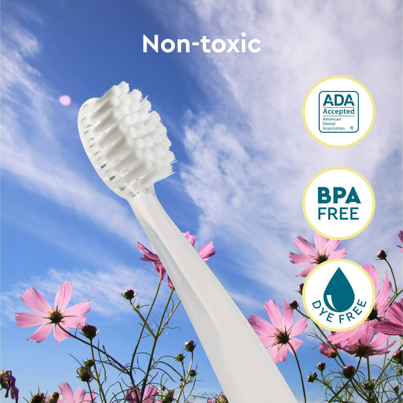 [Australia] - RADIUS Children's Toothbrush Pure Brush Ultra Soft BPA Free and ADA Accepted Designed for Delicate Teeth and Gums for Kids Months and Up, Clear, (Pack of 6) 6 Count (Pack of 1) 