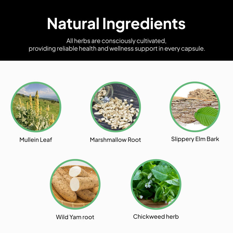 [Australia] - Doctor Morse's GI Daily - Gut Cleanse - Digestive Support - Intestinal, Overall Gut Support - Naturopath Formulated - Marshmallow Root, Slippery Elm Bark, Mullein Leaf - 90 Capsules - 45 Day Supply 