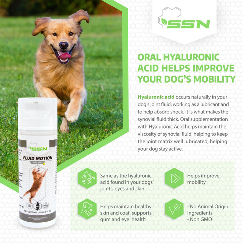 Fluid Motion - Hip & Joint Support for Dogs - Liquid Hyaluronic Acid - Mobility, Comfort and Joint Supplement for Senior Dogs - Apple Flavor - Glucosamine Alternative (30-60+ Day Supply) - PawsPlanet Australia