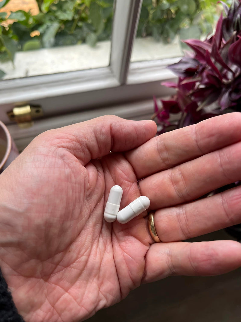 Lion's Mane and Cordyceps Mushroom Complex, 10,000mg Equivalent, Dual Extract, 90 Capsules for 45 Day Program.