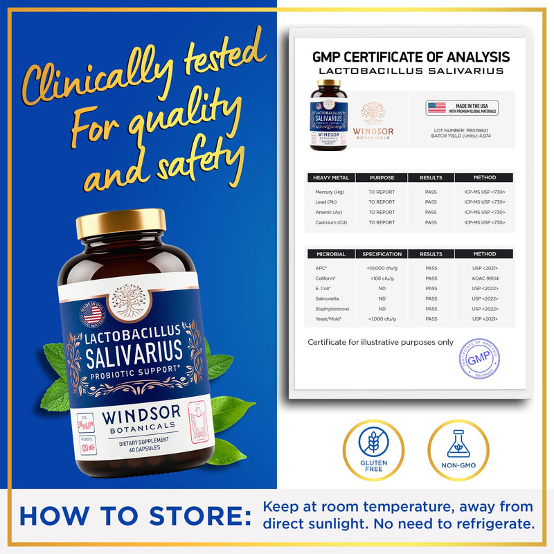 [Australia] - Lactobacillus Salivarius Probiotic - 24bn CFU L Salivarius Dental Probiotics for Teeth and Gums - Bad Breath Treatment for Adults, Immune Support, Digestive Health - 60 Oral Probiotic Capsules 60 Count (Pack of 1) 