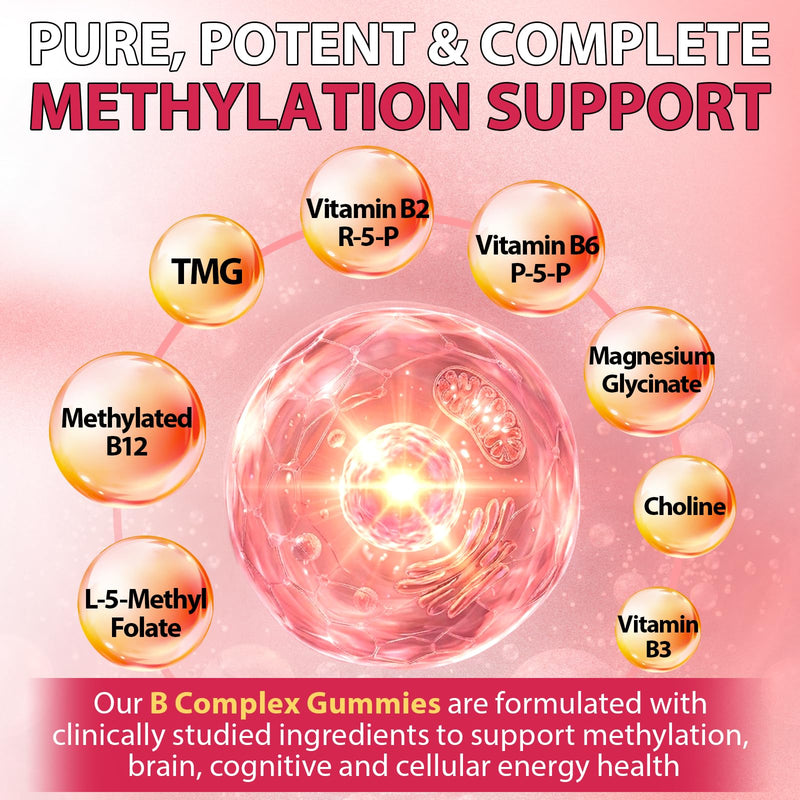 Methylation Support Gummies Sugar Free - Folate 5-MTHF, B12, TMG, B2 & B6 | All B Vitamins B1 B2 B3 B5 B6 B7 B9 B12 + C D3 K2 Magnesium Omega3 CoQ10 L Theanine and more for Women Men, Strawberry 60 Ct 60 Count (Pack of 2)