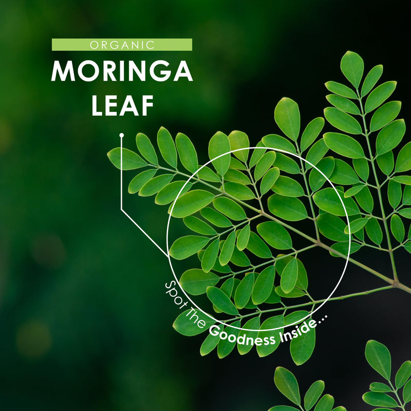 Organic Moringa 2100mg – 180 Vegan Capsules – Raw Moringa Oleifera Leaf Supplement – Rich in Vitamins, Antioxidants & Amino Acid – by Alpha01 1 count (Pack of 180)