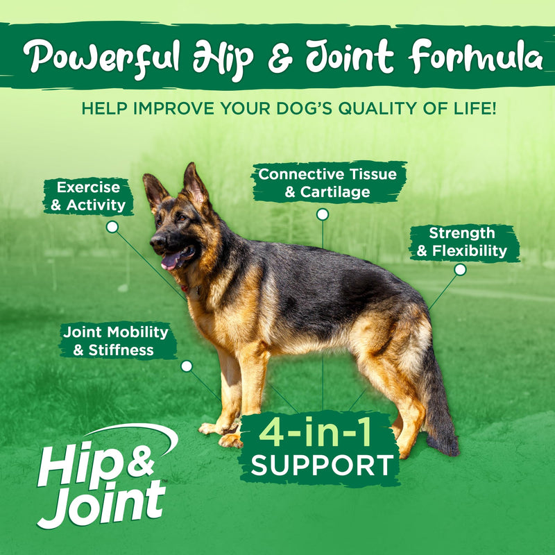 Vital Planet - Hip and Joint Support Powder Supplement for Dogs, with Glucosamine, Turmeric, Boswellia, MSM, and Collagen from Green-Lipped Mussel - Beef Flavored Powder, 60 Scoops, 111 Grams - PawsPlanet Australia