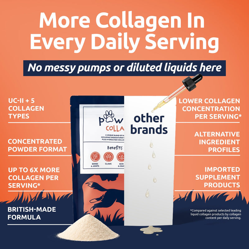 Collagen for Dogs | Dog Joint & Mobility Supplement with Hydrolysed Bovine & Eggshell Collagen | Supports Hips, Joints & Stiffness | Award-Winning | 225g Powder