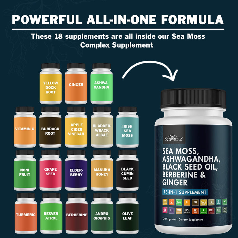 [Australia] - BioSchwartz Sea Moss Black Seed Oil Ashwagandha Ginger Supplement with Turmeric Berberine HCI Burdock Bladderwrack Resveratrol Elderberry Manuka Honey Apple Cider Vinegar ACV - 120 Sea Moss Capsules 120 Count (Pack of 1) 