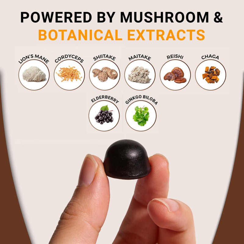 Mushroom Complex Gummies - 6 Mushroom Blend with Lion’s Mane, Reishi, Cordyceps, Shiitake, Maitake & Chaga + Ginkgo & Elderberry - Sugar Free Blueberry Flavour - 60 Gummies