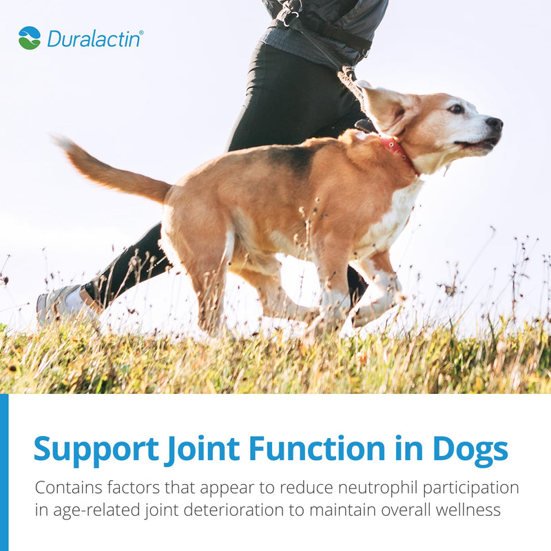 PRN Pharmacal Duralactin Canine Soft Chews - Joint Health Supplement for Dogs & Puppies to Help Reduce Chronic Soreness - Canine Chews Containing Dried Milk Protein - Chicken-Liver Flavor - 90 Chews - PawsPlanet Australia