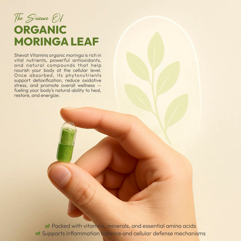 Organic Moringa Leaf Capsules 1000mg – Pure & Natural Moringa Powder – Daily Plant-Based Nutrition Support with Vitamins & Minerals – Non-GMO, Gluten-Free – 90 Capsules, USA Made, Third-Party Tested