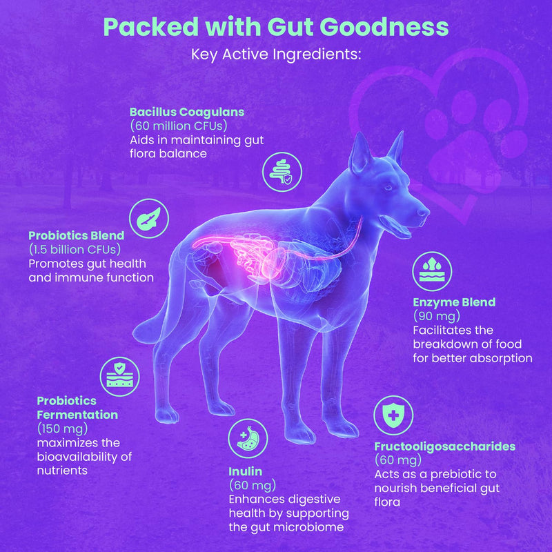 FREYDELL Pets Probiotics for Dogs Dog Upset Stomach Relief Dog probiotic, Fiber Supplement for Dogs, Yeast Infection Treatment for Dogs & Dog Diarrhea Medication, Probiotic for Dogs of All Ages. - PawsPlanet Australia