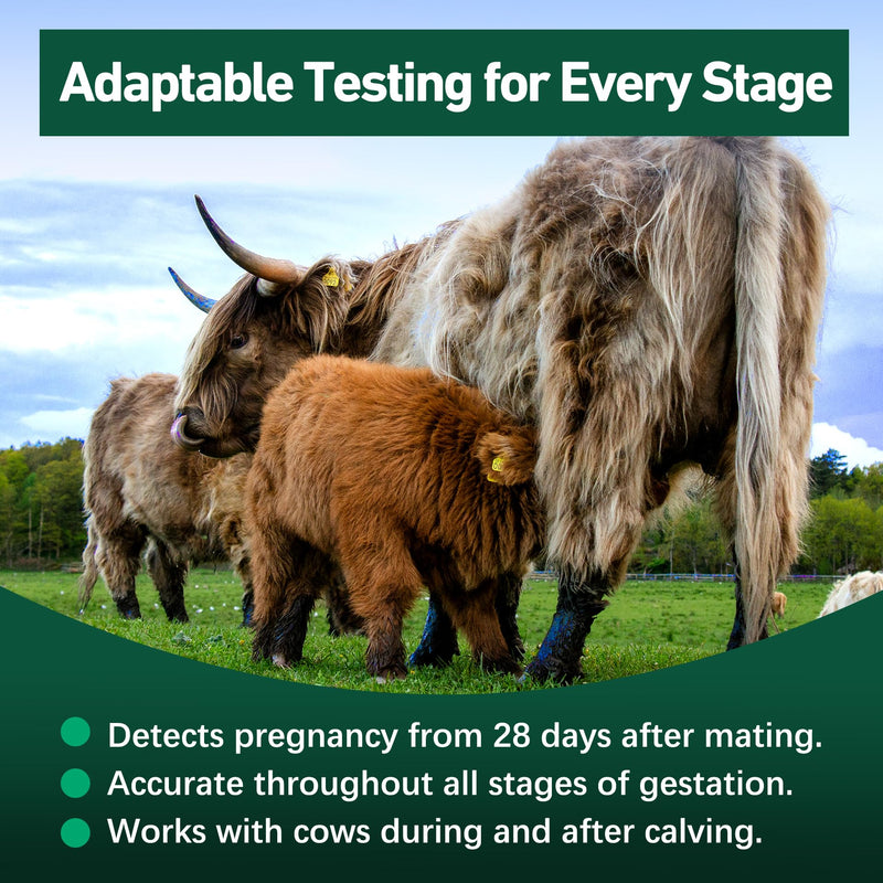 Bovine Pregnancy Test Kit - Includes 2 Tests, Rapid Results in 5-20 Minutes for Dairy & Beef Cows, Whole Blood, Serum & Plasma-Based Tests