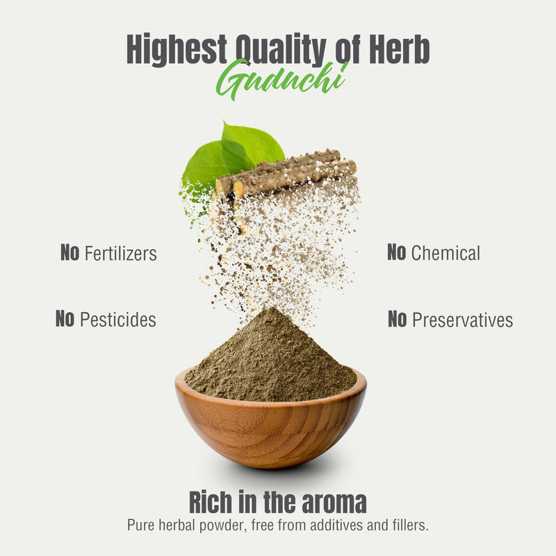 [Australia] - Guduchi Powder | Tinospora Cordifolia | Ayurvedic Herbal Supplement | Natural & Pure | Non-GMO, Vegan | 230 GMS | Traditional Herb for Everyday Wellness 