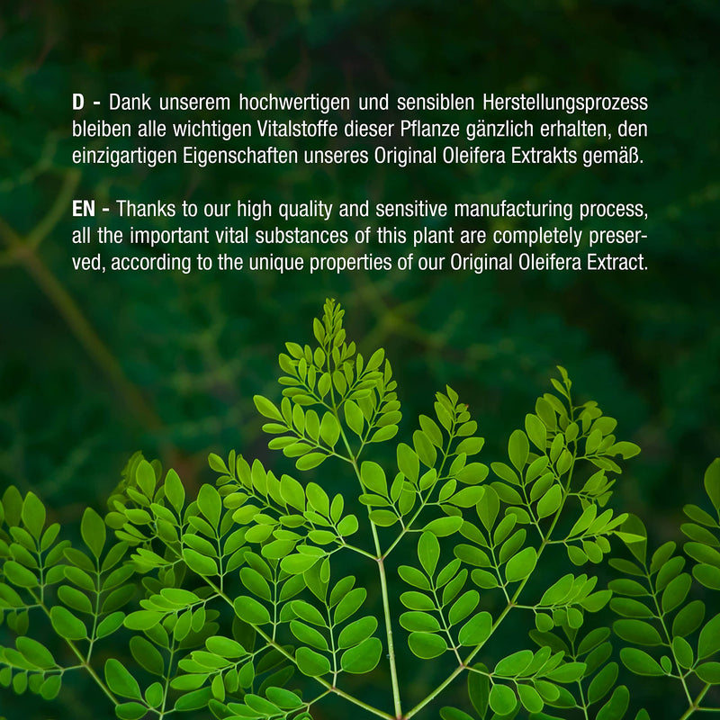 [Australia] - Vitabay Original Moringa Oleifera • 5000 mg PER capsule • 120 capsules • Natural • High dosage • Unique spectrum of natural nutrients • XXL pack 