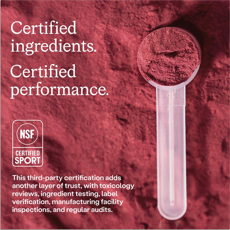 [Australia] - HumanN SuperBeets Sport Endurance Pre Workout Powder, Nitric Oxide Supplement, NSF Certified, Stimulant & Caffeine Free, Made with Beet Root, Wild Cherry, 20 Servings 20 Servings (Pack of 1) 