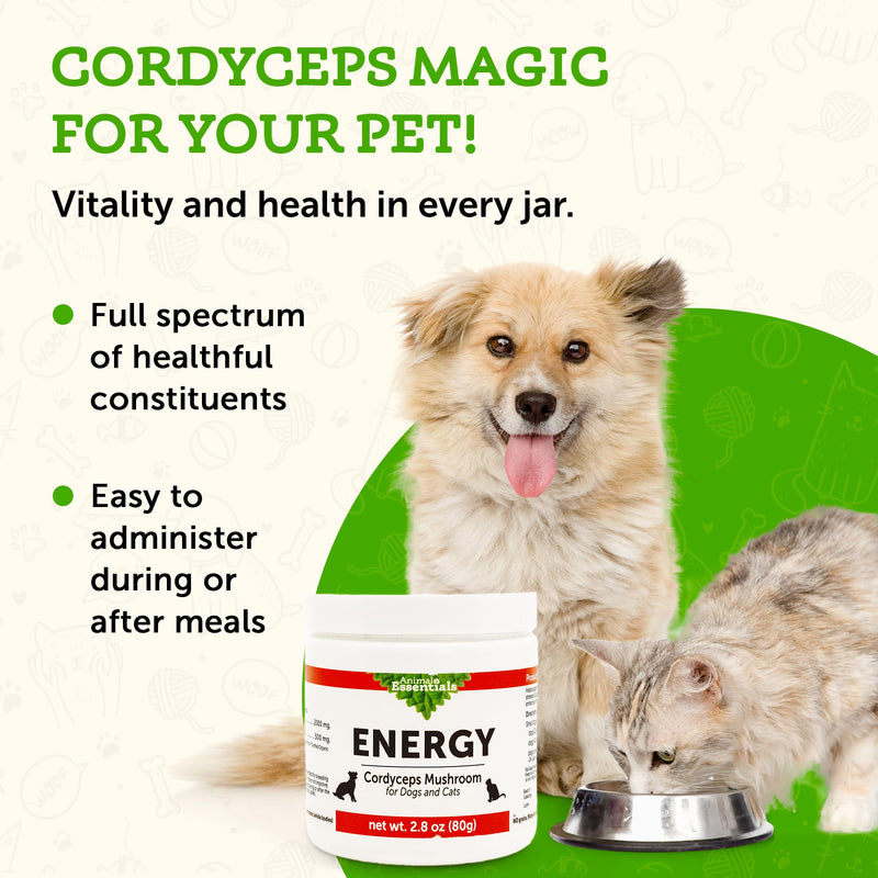 Animal Essentials Energy Cordyceps Mushroom Supplement for Dogs & Cats - Support Stamina & Endurance, Healthy Respiratory & Kidney Functions, Antioxidant, Mushroom Powder Extract - 2.8 Oz (Pack of 1) - PawsPlanet Australia