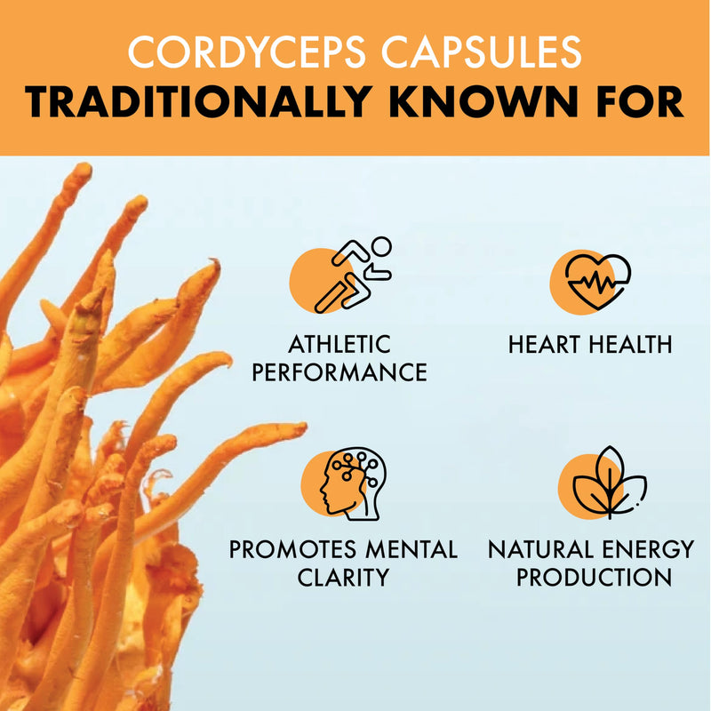 Organic Cordyceps Capsules 4,000mg per Capsule | High Strength Mushroom Extract Supplement for Endurance, Stamina & Natural Energy Support | Vegan, Plant Based, UK Made | 60 Capsules 60 count (Pack of 1)