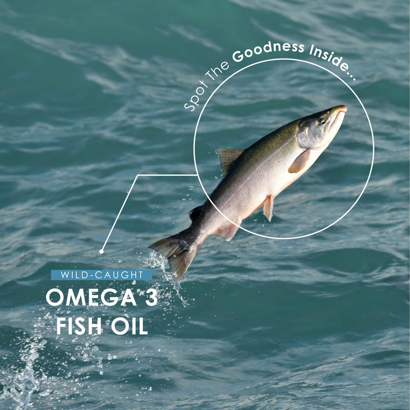 Omega 3 Wild-Caught Fish Oil 2000mg - 660mg EPA 440mg DHA - 240 Softgels - No Additives — Resealable and Recyclable Pouch by Alpha01 1 count (Pack of 240)