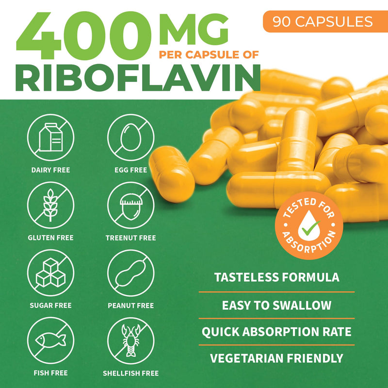 [Australia] - ForestLeaf Vitamin B2 Riboflavin 400mg - Energy, Skin & Cellular Health Supplement - Nervous System Support - Vitamin B 2 VIT B - Non-GMO & Gluten Free - B2 Vitamin 400mg Vegetable Capsules, 90 Count 90 Count (Pack of 1) - Unflavored 