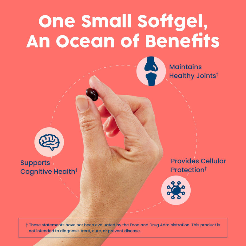 [Australia] - NativePath Antarctic Krill Oil - Wild-Caught Omega 3 Krill Oil 500mg Softgels with EPA, DHA and Astaxanthin - Supplement for Joint, Heart, Brain and Immunity - 60 ct - No Fishy Aftertaste 60 Count (Pack of 1) 