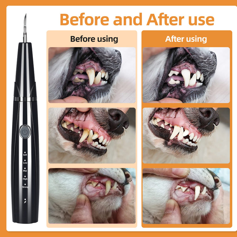 [Australia] - Ultrasonic Dog Plaque and Tartar Remover, Teeth Cleaning Kit for Pets, Rechargeable Dental Scraper for Pets, 5 Modes with 3 Cleaning Heads and LED Light 