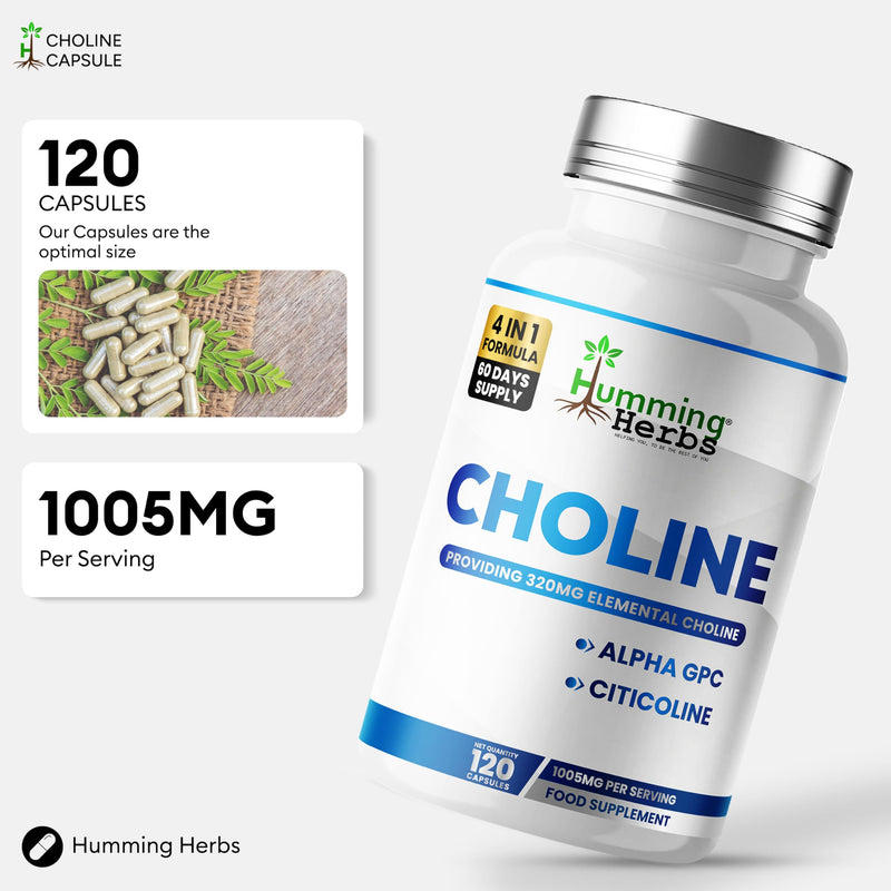 Humming Herbs Choline Complex 320mg Elemental from Alpha GPC & Citicoline | 120 Vegan Capsules | 60-Day Supply | Food Supplement