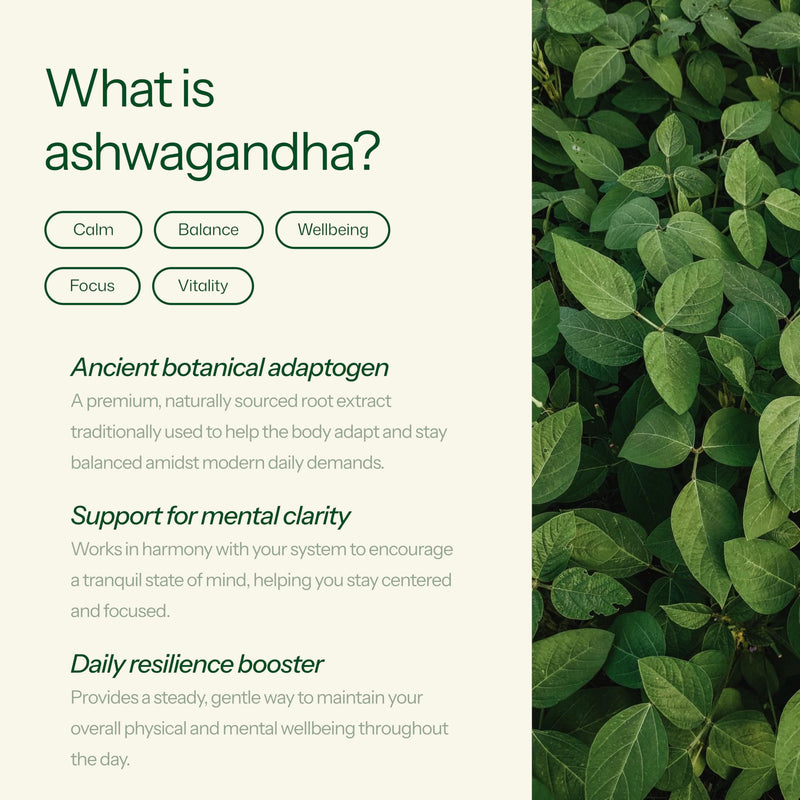 Wellness Ashwagandha Gummies 1200mg for Stress Support, Relaxation & Mental Clarity, Promotes Calm & Focus, High Strength Root Extract, Elderberry Flavour, 60 Vegan Gummies