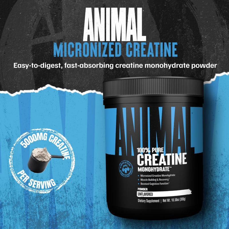 [Australia] - Animal Creatine Monohydrate Powder ‚Äì Micronized Creatine for Women and Men, Supports Muscle Growth, Strength, Endurance, Recovery and ATP Production, Gym & Workout Supplements - Unflavored, 300g 300g (Pack of 1) 
