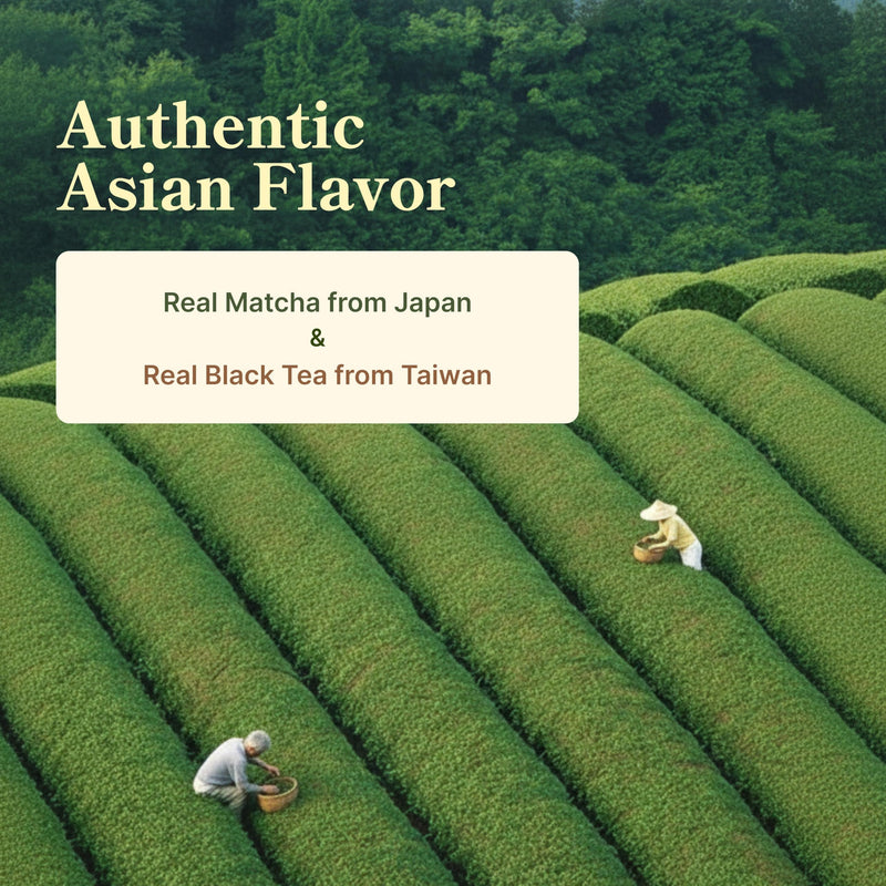 Japanese Matcha Latte Protein Powder | All-in-One Beauty Shake | Collagen, Probiotics & MCT Oil | Supports Hair, Skin & Nails | 10 Vitamins & 4 Minerals | Meal Replacement | 20 Servings | Allie Beauty Protein Japanese Matcha Latte