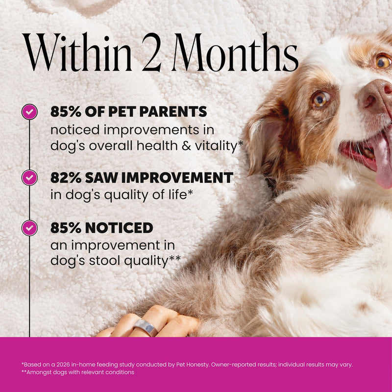 10-in-1 Dog Multivitamin Supplement with Glucosamine & Probiotics - Hip & Joint Support, Digestive Health, Immune Support, Heart & Skin - All-in-One Daily Vitamins & Omega-3s (Peanut Butter, 90 ct) Peanut Butter 90 Count