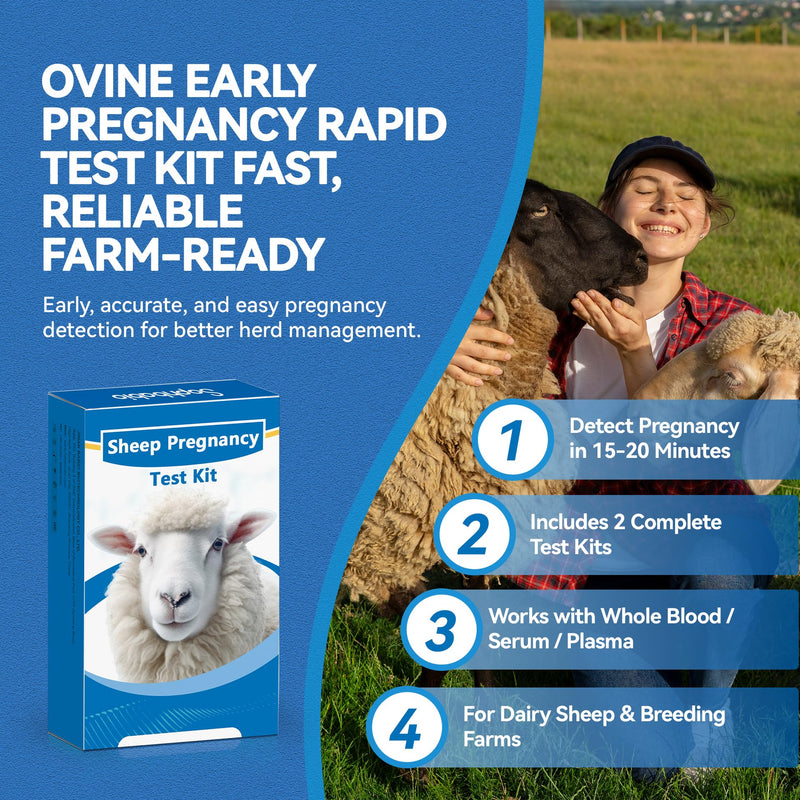 Sheep/Ovine/Goat Early Pregnancy (PAGs) Rapid Test Kit - 2 Tests, Hormones (PAGs), Whole Blood/Serum/Plasma Testing, Detect Pregnancy as Early as 28 Days Post-Breeding